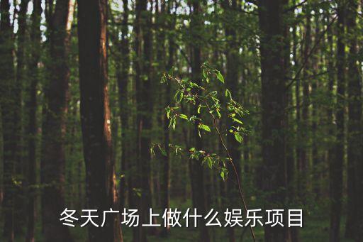 冬天广场上做什么娱乐项目