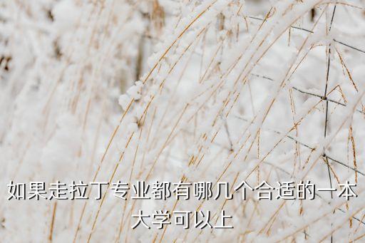 如果走拉丁专业都有哪几个合适的一本大学可以上