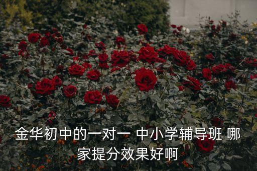 金华初中的一对一 中小学辅导班 哪家提分效果好啊