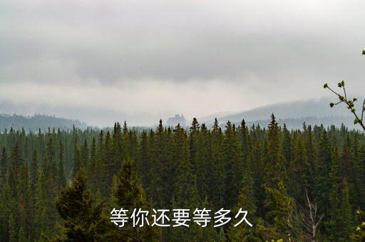 等你还要等多久