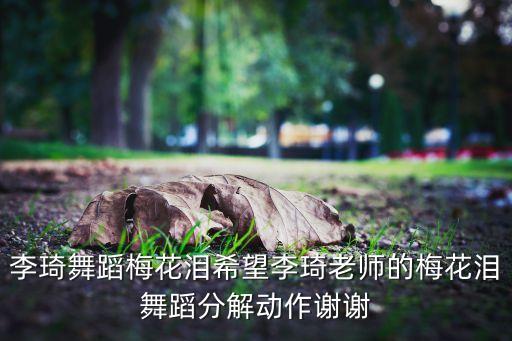 李琦舞蹈梅花泪希望李琦老师的梅花泪舞蹈分解动作谢谢