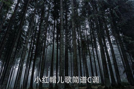 少儿歌曲100首大全简谱图片，儿歌歌谱曲谱大全