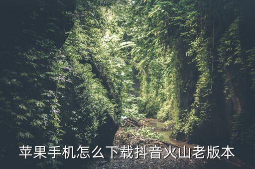 苹果手机怎么下载抖音火山老版本