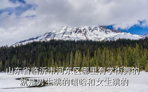 山东省临沂市河东区哪里有学街舞的 就是男生跳的嘻哈和女生跳的