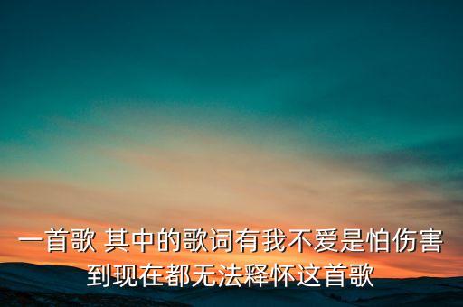 一首歌 其中的歌词有我不爱是怕伤害到现在都无法释怀这首歌