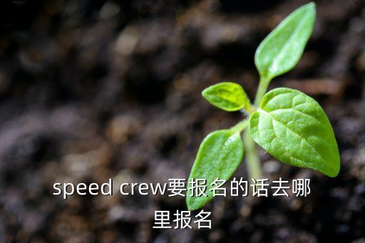 speed crew要报名的话去哪里报名