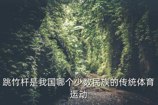跳竹杆是我国哪个少数民族的传统体育运动