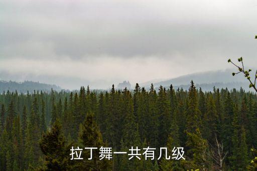 拉丁舞一共有几级