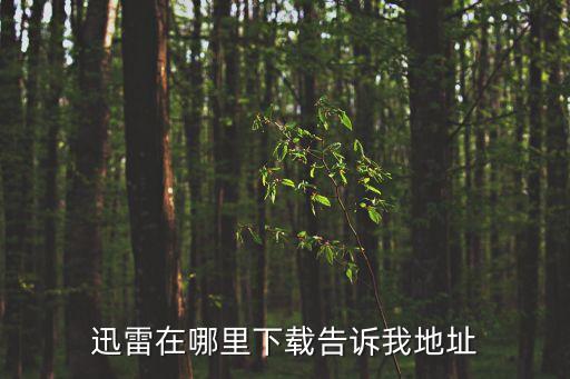 深圳音乐学院在哪里下载 迅雷下载，迅雷在哪里下载告诉我地址
