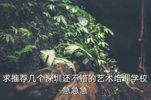 求推荐几个深圳还不错的艺术培训学校急急急