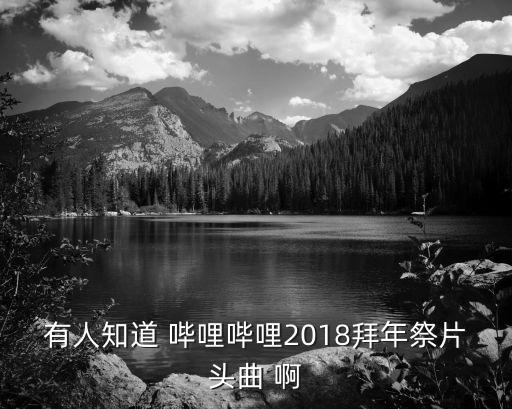 有人知道 哔哩哔哩2018拜年祭片头曲 啊