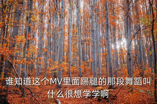 踢腿的舞是什么舞网上，踢腿啊踢腿冒似泰坦尼克号里面他们跳舞那一段就有那种的舞叫什