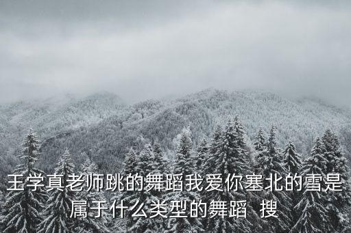 舞蹈我爱你塞北的雪教学视频，王学真老师跳的舞蹈我爱你塞北的雪是属于什么类型的舞蹈  搜
