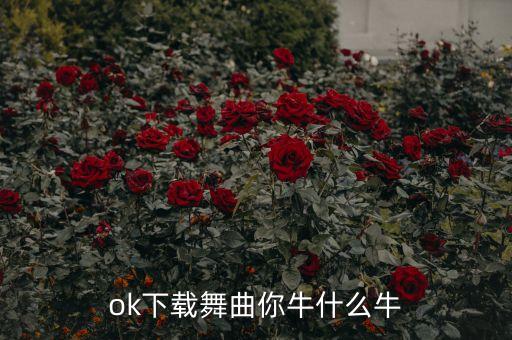 ok下载舞曲你牛什么牛