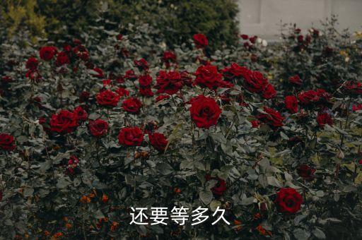 还要等多久