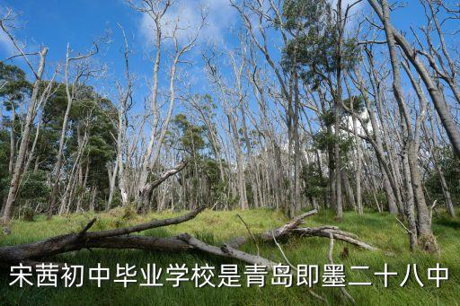 北舞附中是中专吗，宋茜初中毕业学校是青岛即墨二十八中