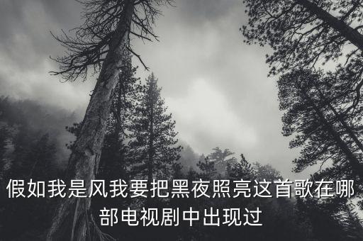 假如我是风我要把黑夜照亮这首歌在哪部电视剧中出现过