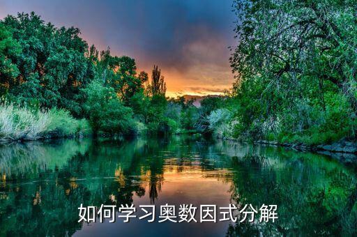 如何学习奥数因式分解