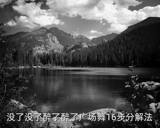没了没了醉了醉了广场舞16步分解法