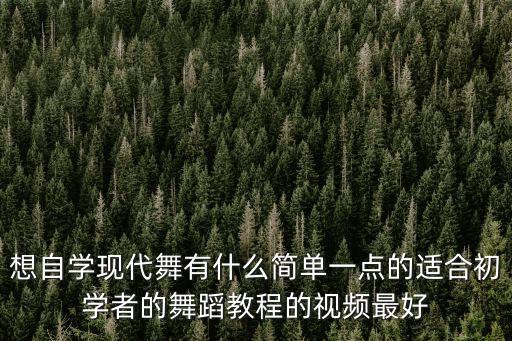 想自学现代舞有什么简单一点的适合初学者的舞蹈教程的视频最好