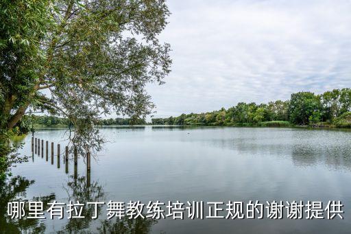 哪里有拉丁舞教练培训正规的谢谢提供
