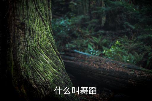 什么是舞蹈组织方式，演出组织算不算表演者有什么义务