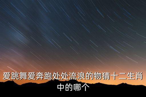 爱跳舞爱奔跑处处流浪的物猜十二生肖中的哪个