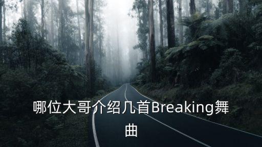 哪位大哥介绍几首Breaking舞曲