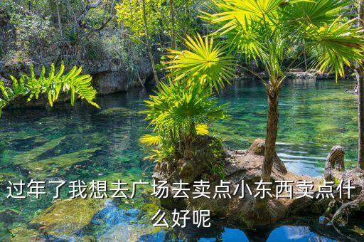 过年了我想去广场去卖点小东西卖点什么好呢