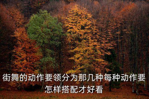 街舞的动作要领分为那几种每种动作要怎样搭配才好看