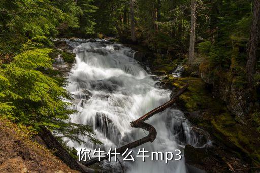 你牛什么牛mp3