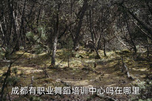 成都舞蹈培训中心，成都舞蹈艺术培训中心哪家比较专业