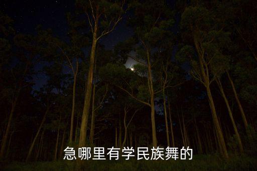 急哪里有学民族舞的