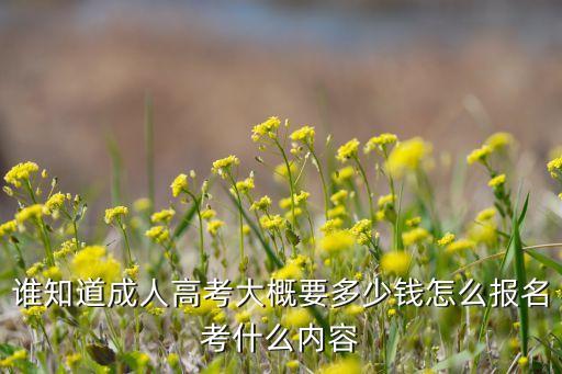 成人考试的条件和费用，成人考试需要什么条件