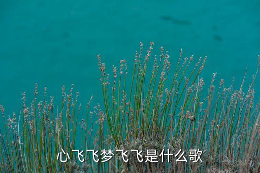 心醉醉梦飞飞是什么歌，歌词心菲菲梦醉醉