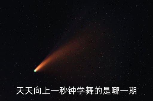 天天向上一秒钟学舞的是哪一期