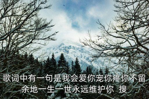 我会宠着你这是什么歌，歌词中有一句是我会爱你宠你疼你不留余地一生一世永远维护你  搜