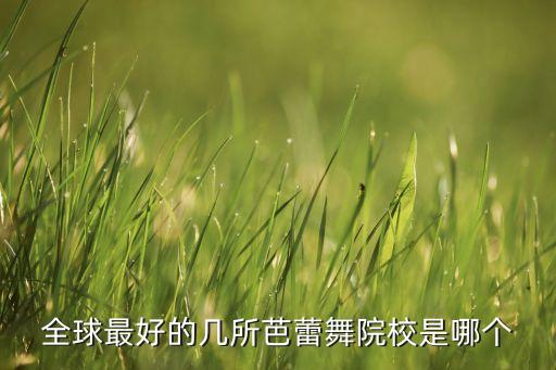 国外有哪些舞蹈学校，出国留学哪国舞蹈专业大学最好