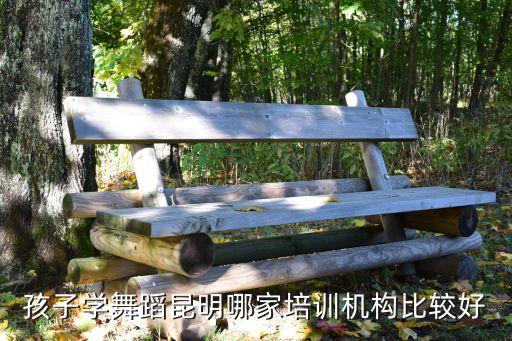 孩子学舞蹈昆明哪家培训机构比较好
