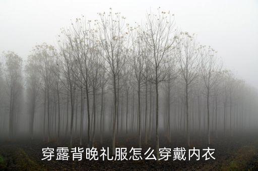 穿露背晚礼服怎么穿戴内衣