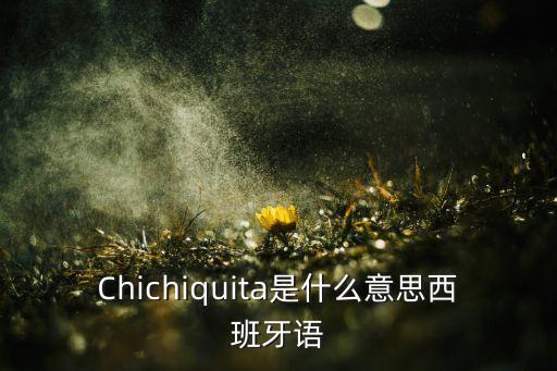 Chichiquita是什么意思西班牙语
