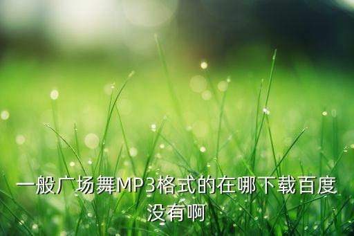 一般广场舞MP3格式的在哪下载百度没有啊