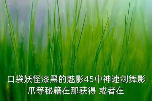 口袋妖怪漆黑的魅影45中神速剑舞影爪等秘籍在那获得 或者在