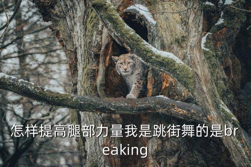 如何练好腿部力量 跳舞，怎样提高腿部力量我是跳街舞的是breaking