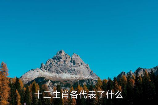 十二生肖各代表了什么