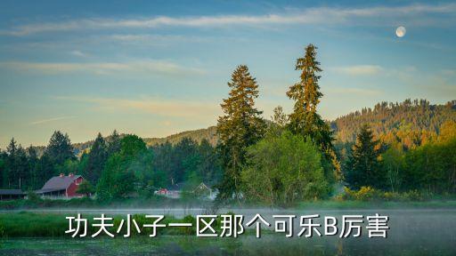 功夫小子一区那个可乐B厉害
