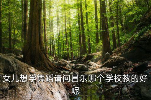 女儿想学舞蹈请问昌乐哪个学校教的好呢