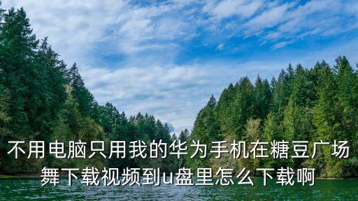 不用电脑只用我的华为手机在糖豆广场舞下载视频到u盘里怎么下载啊