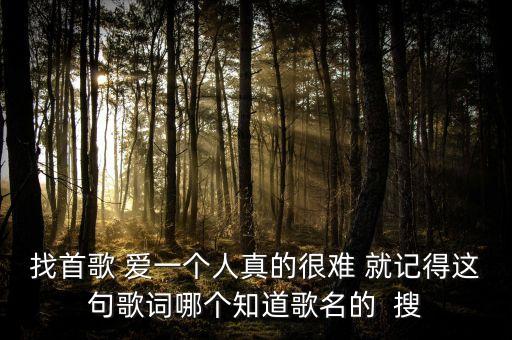 我要听爱你流过多少泪，你是谁你是谁你是我最爱的女人是那首歌曲的歌词