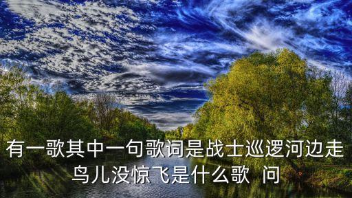 有一歌其中一句歌词是战士巡逻河边走鸟儿没惊飞是什么歌  问